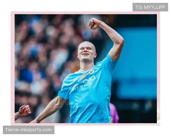 哈兰德舆论评价如何？